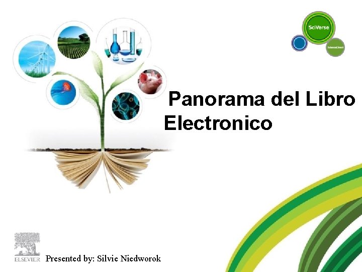 Panorama del Libro Electronico Presented by: Silvie Niedworok 