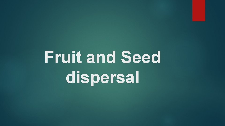 Fruit and Seed dispersal 