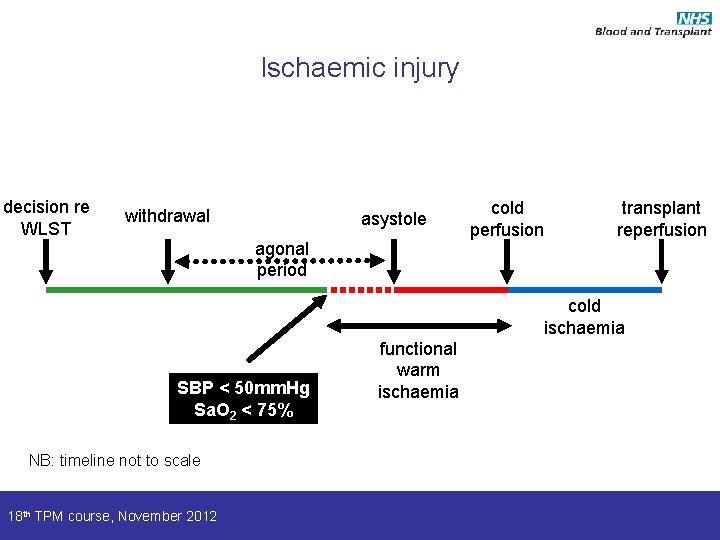 Ischaemic injury decision re WLST withdrawal asystole agonal period cold perfusion transplant reperfusion cold