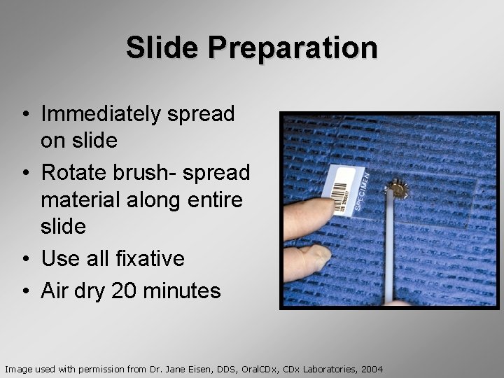 Slide Preparation • Immediately spread on slide • Rotate brush- spread material along entire