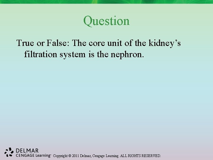 Question True or False: The core unit of the kidney’s filtration system is the