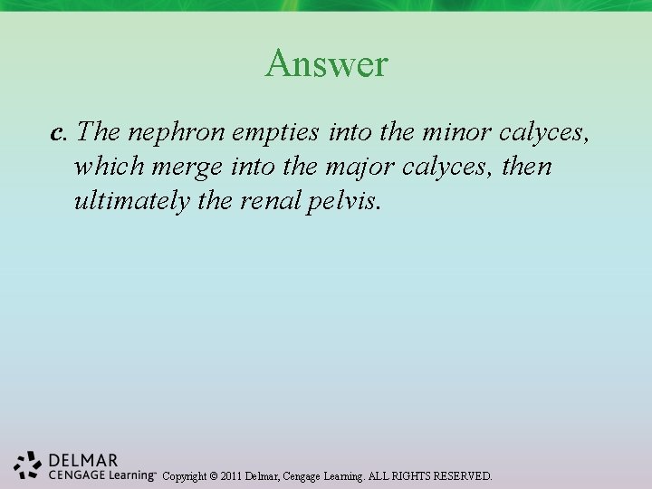 Answer c. The nephron empties into the minor calyces, which merge into the major