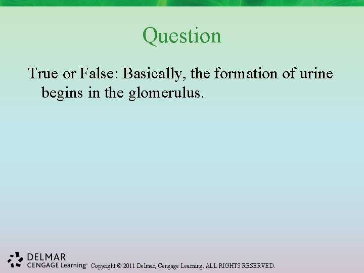 Question True or False: Basically, the formation of urine begins in the glomerulus. Copyright