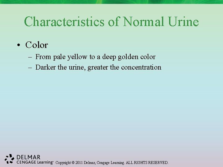 Characteristics of Normal Urine • Color – From pale yellow to a deep golden