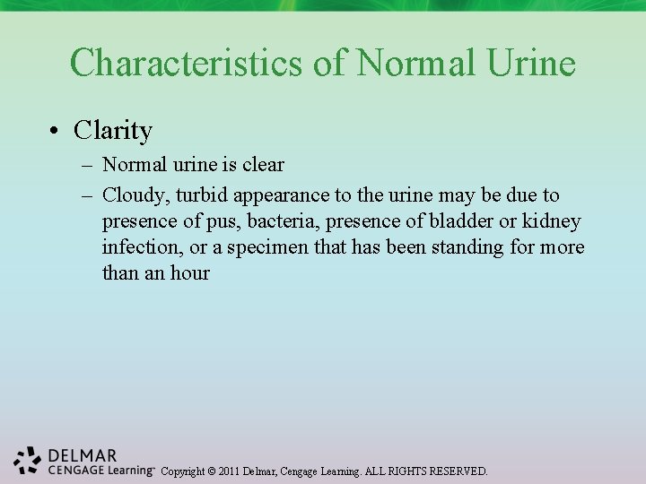 Characteristics of Normal Urine • Clarity – Normal urine is clear – Cloudy, turbid