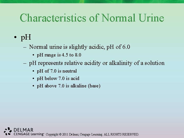 Characteristics of Normal Urine • p. H – Normal urine is slightly acidic, p.