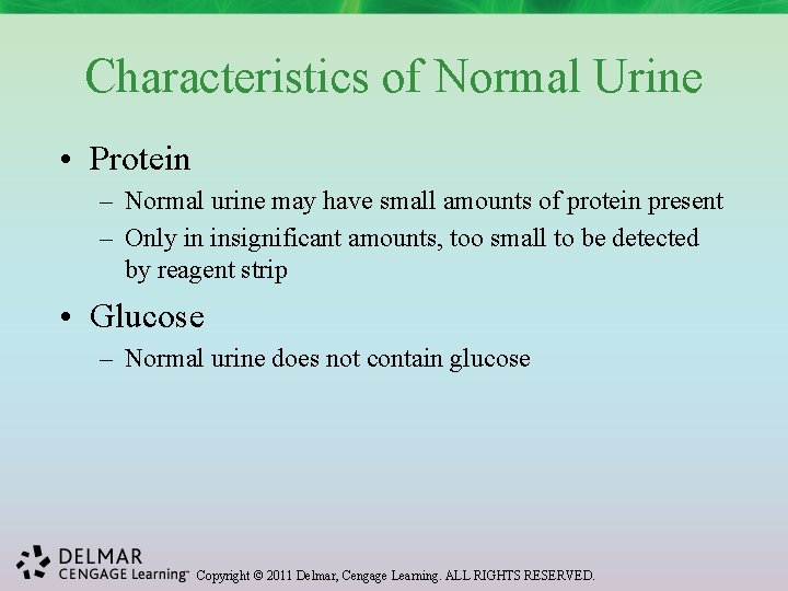 Characteristics of Normal Urine • Protein – Normal urine may have small amounts of