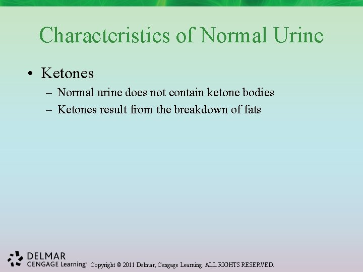 Characteristics of Normal Urine • Ketones – Normal urine does not contain ketone bodies