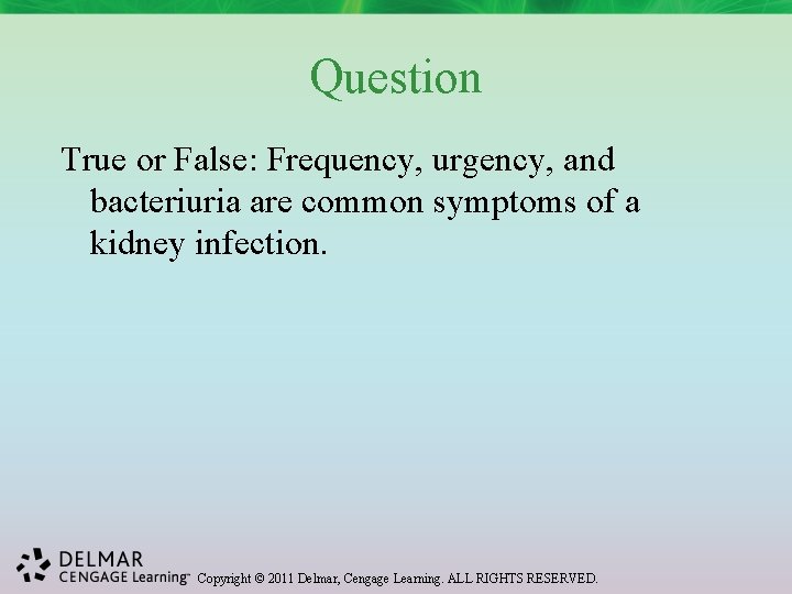 Question True or False: Frequency, urgency, and bacteriuria are common symptoms of a kidney