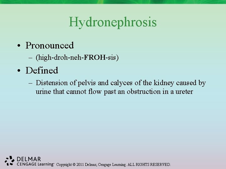 Hydronephrosis • Pronounced – (high-droh-neh-FROH-sis) • Defined – Distension of pelvis and calyces of