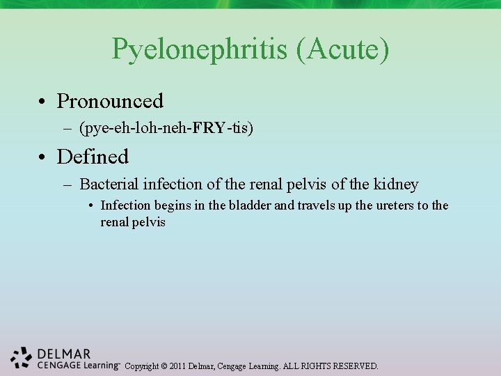 Pyelonephritis (Acute) • Pronounced – (pye-eh-loh-neh-FRY-tis) • Defined – Bacterial infection of the renal