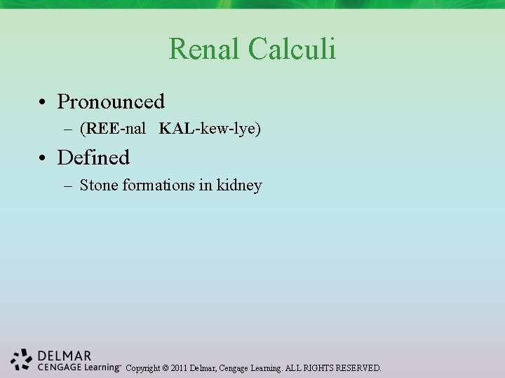 Renal Calculi • Pronounced – (REE-nal KAL-kew-lye) • Defined – Stone formations in kidney