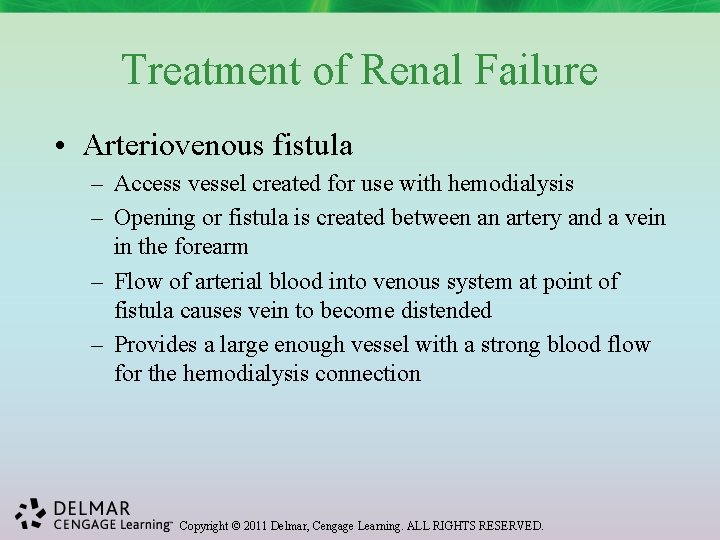 Treatment of Renal Failure • Arteriovenous fistula – Access vessel created for use with