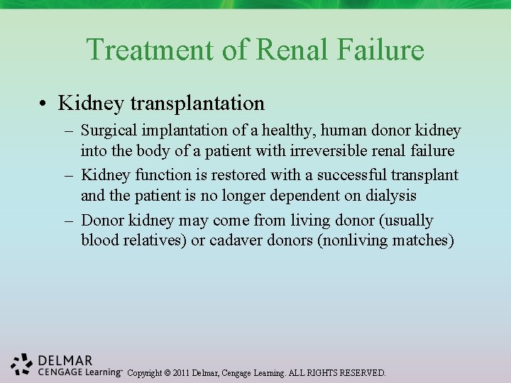 Treatment of Renal Failure • Kidney transplantation – Surgical implantation of a healthy, human