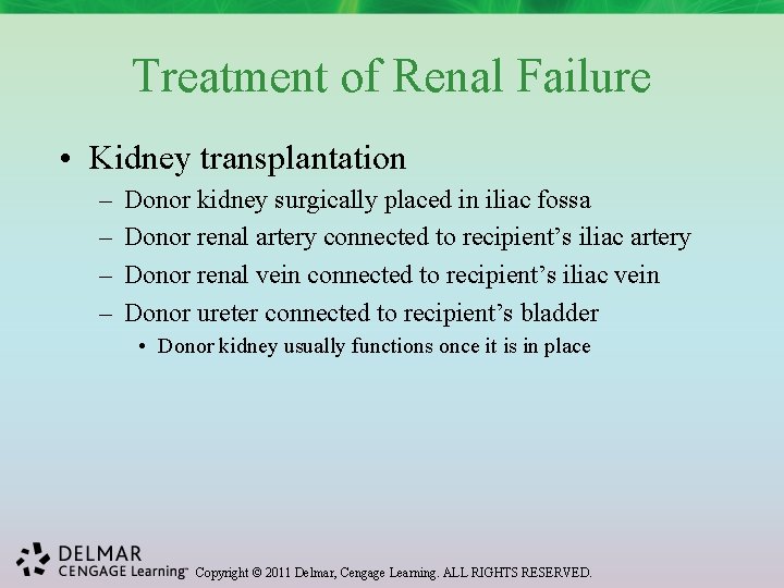 Treatment of Renal Failure • Kidney transplantation – – Donor kidney surgically placed in