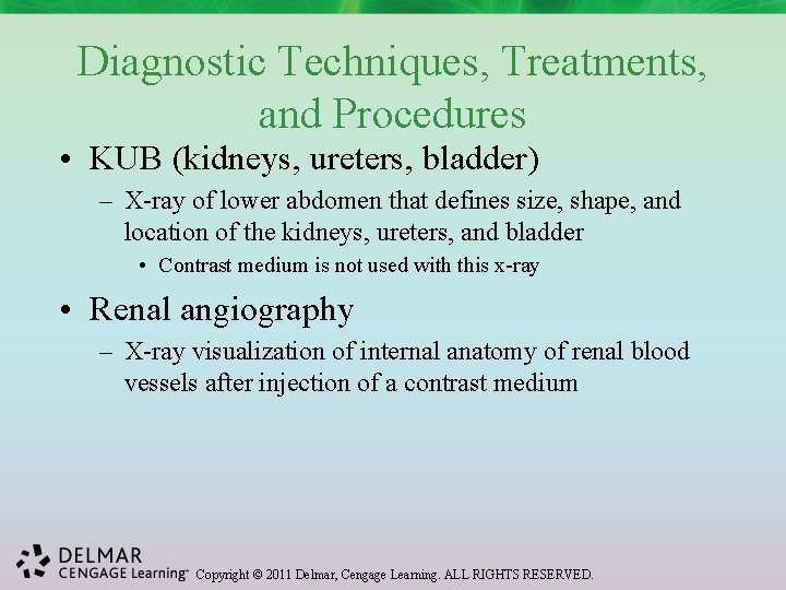 Diagnostic Techniques, Treatments, and Procedures • KUB (kidneys, ureters, bladder) – X-ray of lower