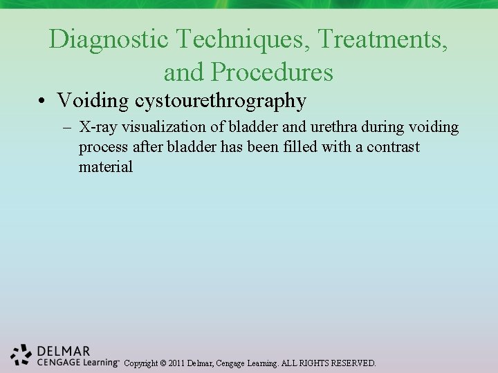 Diagnostic Techniques, Treatments, and Procedures • Voiding cystourethrography – X-ray visualization of bladder and