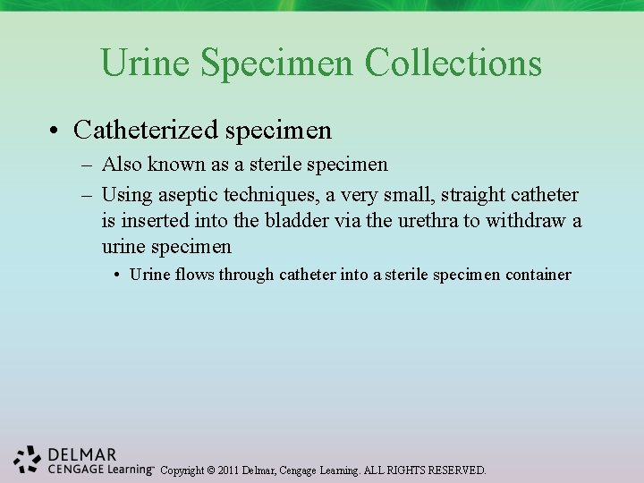 Urine Specimen Collections • Catheterized specimen – Also known as a sterile specimen –