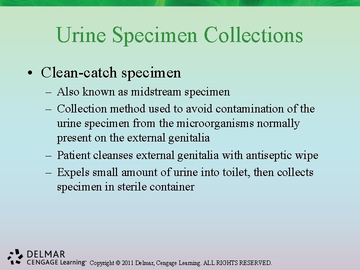 Urine Specimen Collections • Clean-catch specimen – Also known as midstream specimen – Collection