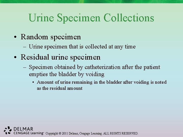 Urine Specimen Collections • Random specimen – Urine specimen that is collected at any