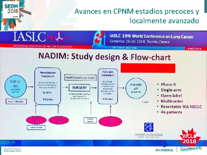 Avances en CPNM estadios precoces y localmente avanzado #SEOM 2018 