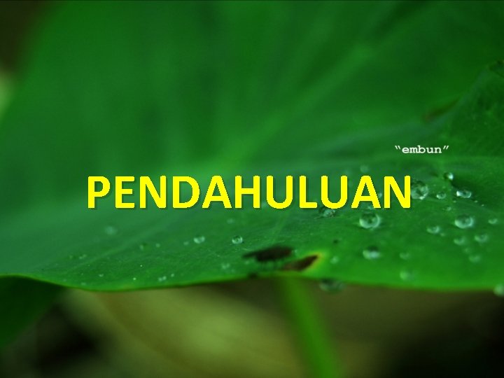 PENDAHULUAN 