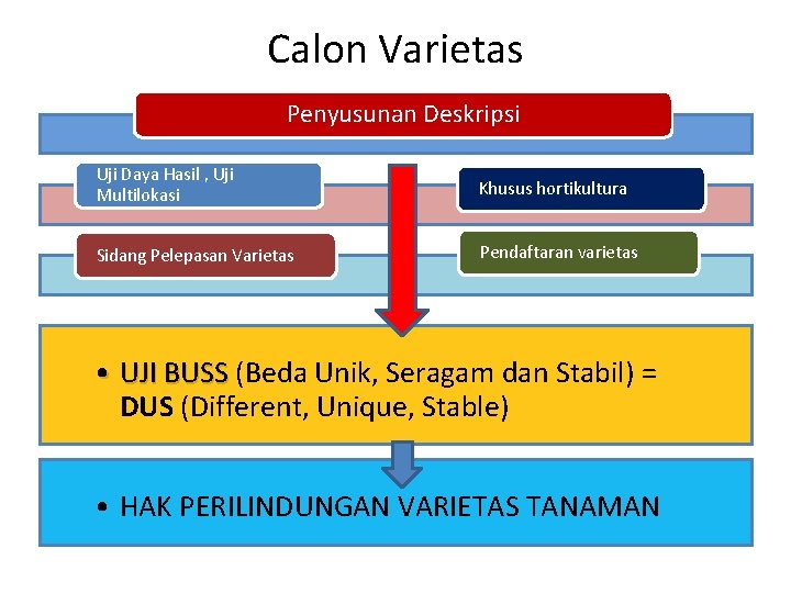 Calon Varietas Penyusunan Deskripsi Uji Daya Hasil , Uji Multilokasi Khusus hortikultura Sidang Pelepasan