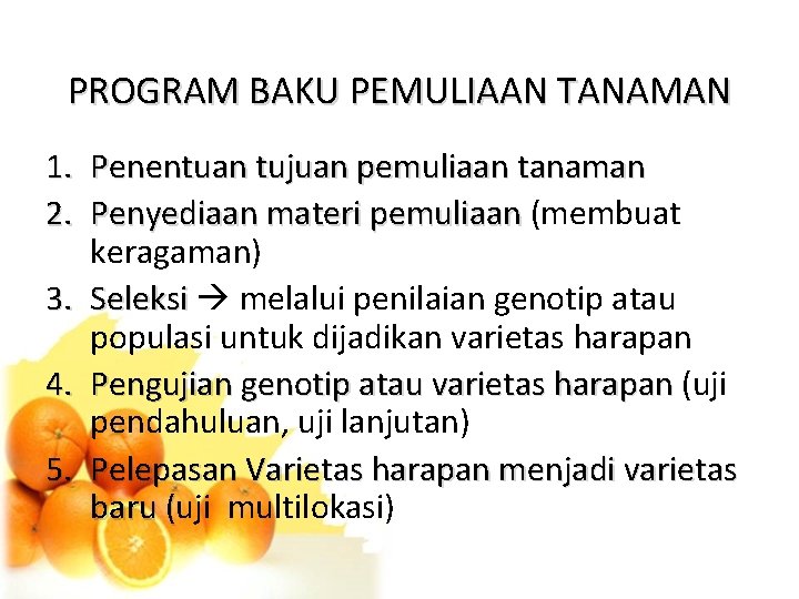 PROGRAM BAKU PEMULIAAN TANAMAN 1. Penentuan tujuan pemuliaan tanaman 2. Penyediaan materi pemuliaan (membuat