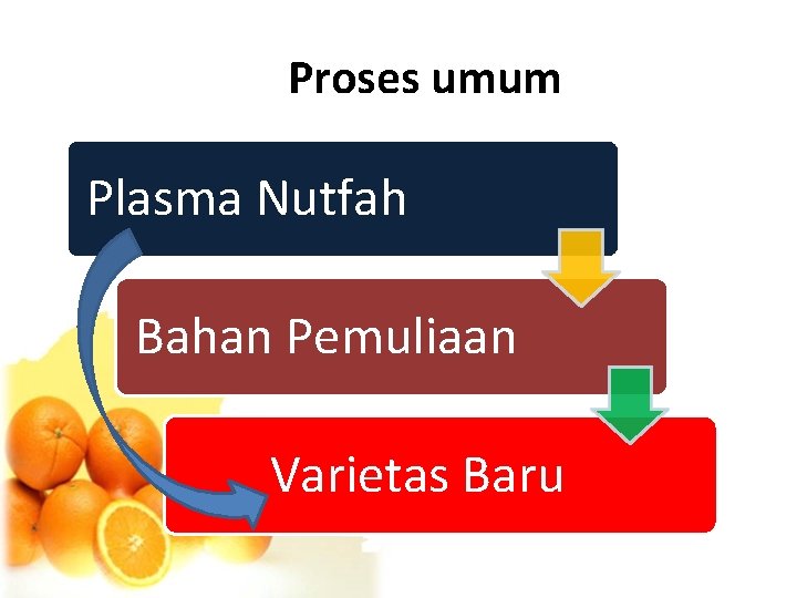 Proses umum Plasma Nutfah Bahan Pemuliaan Varietas Baru 