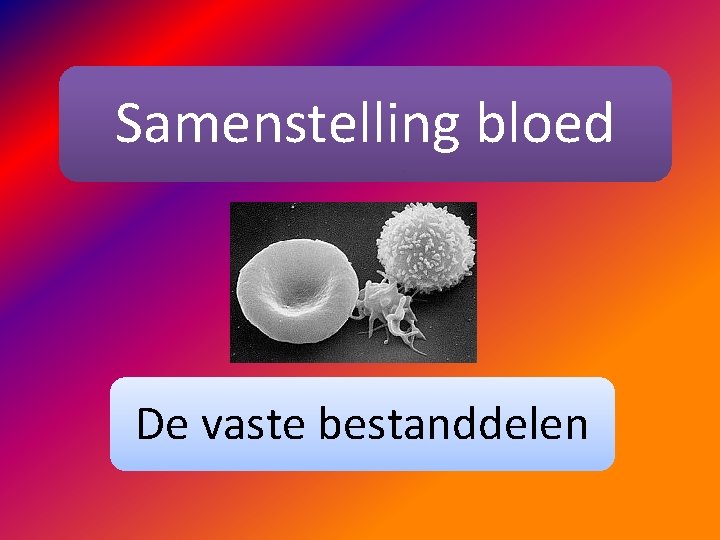 Samenstelling bloed De vaste bestanddelen 