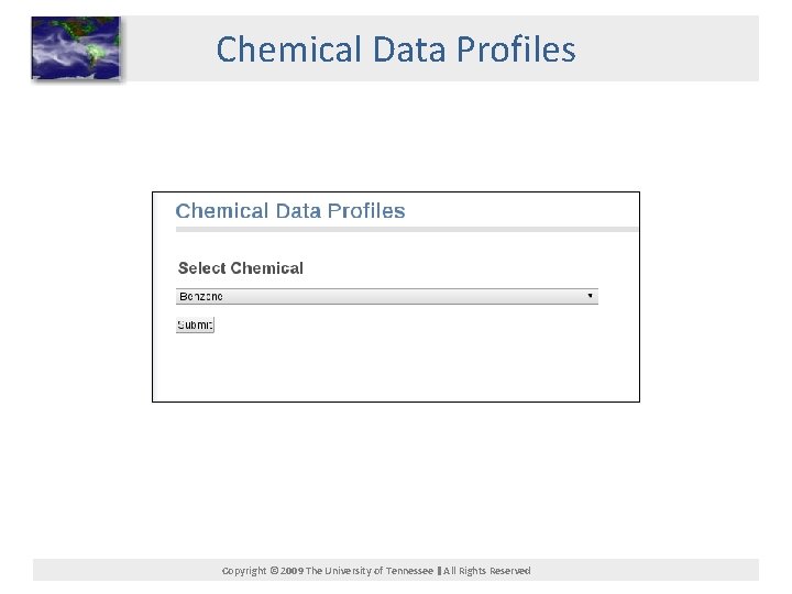 Chemical Data Profiles Copyright © 2009 The University of Tennessee All Rights Reserved 