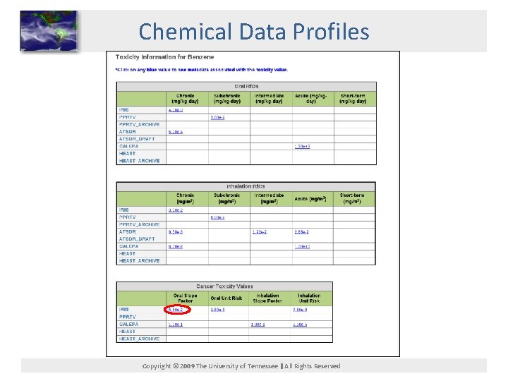 Chemical Data Profiles Copyright © 2009 The University of Tennessee All Rights Reserved 