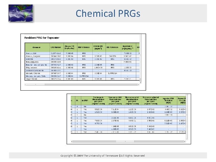 Chemical PRGs Copyright © 2009 The University of Tennessee All Rights Reserved 
