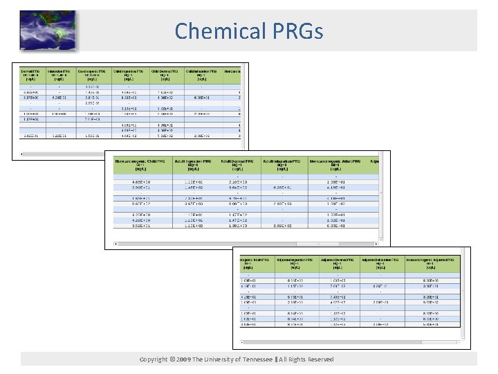 Chemical PRGs Copyright © 2009 The University of Tennessee All Rights Reserved 