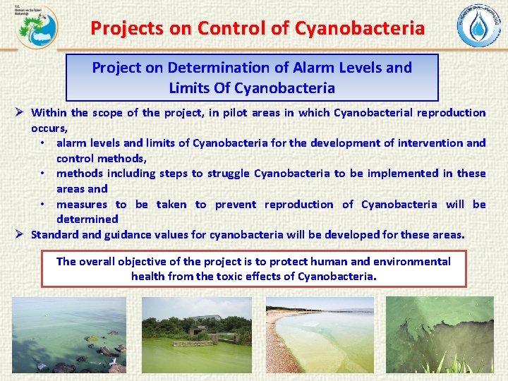 Projects on Control of Cyanobacteria Project on Determination of Alarm Levels and Limits Of