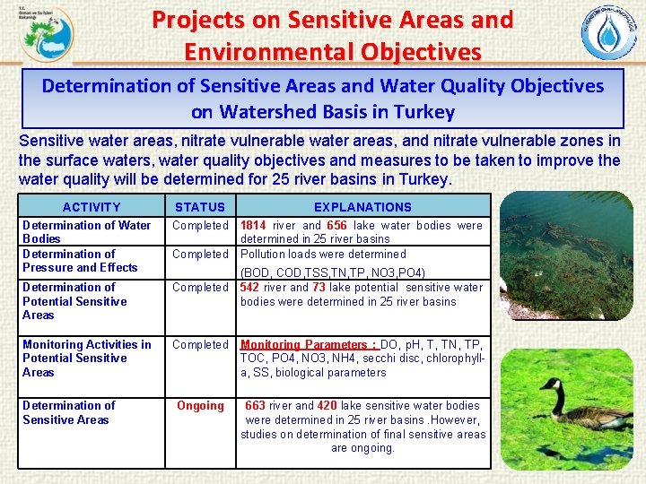 Projects on Sensitive Areas and Environmental Objectives Determination of Sensitive Areas and Water Quality