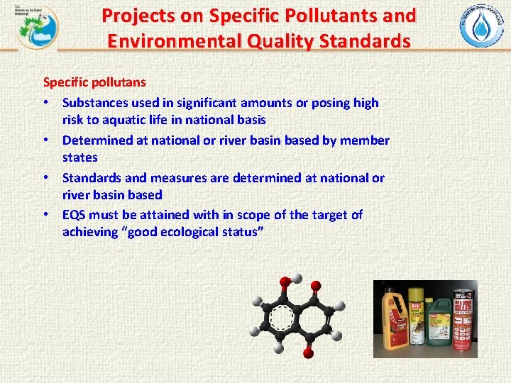 Projects on Specific Pollutants and Environmental Quality Standards Specific pollutans • Substances used in