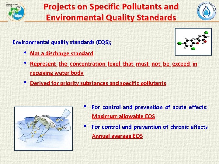 Projects on Specific Pollutants and Environmental Quality Standards Environmental quality standards (EQS); • •