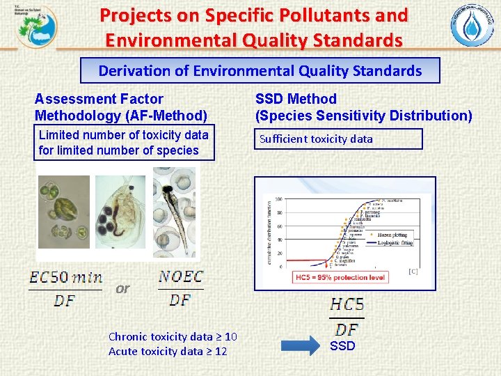 Projects on Specific Pollutants and Environmental Quality Standards Derivation of Environmental Quality Standards Assessment