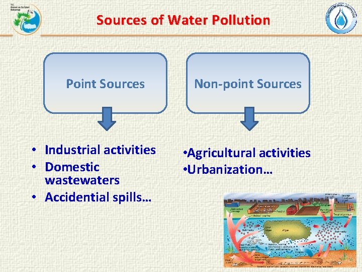 Sources of Water Pollution Point Sources • Industrial activities • Domestic wastewaters • Accidential