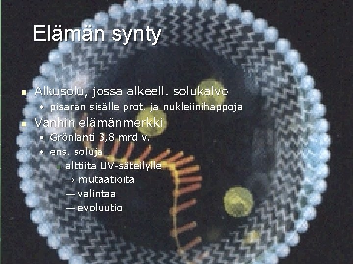 Elämän synty n Alkusolu, jossa alkeell. solukalvo • pisaran sisälle prot. ja nukleiinihappoja n