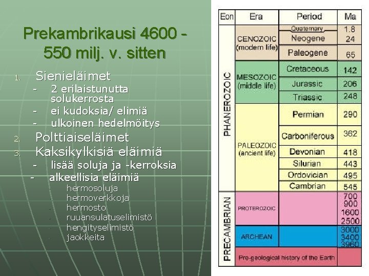 Prekambrikausi 4600 550 milj. v. sitten 1. Sienieläimet - 2. 3. - 2 erilaistunutta