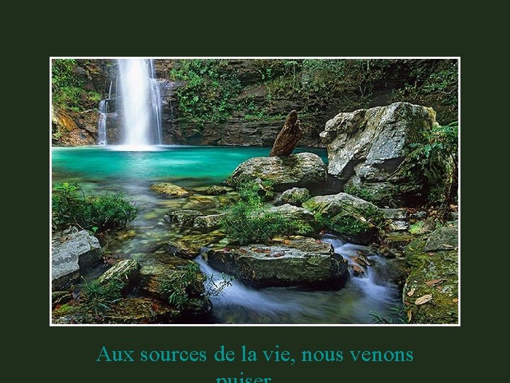 Aux sources de la vie, nous venons 