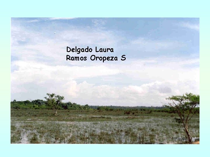 Delgado Laura Ramos Oropeza S Delgado Laura Ramos Oropeza S