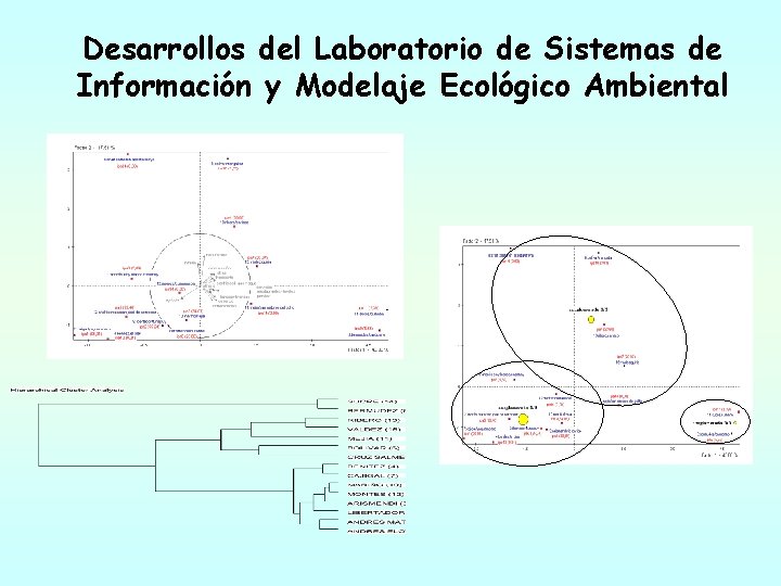 Desarrollos del Laboratorio de Sistemas de Información y Modelaje Ecológico Ambiental Desarrollos del Laboratorio de Sistemas de Información y Modelaje Ecológico Ambiental