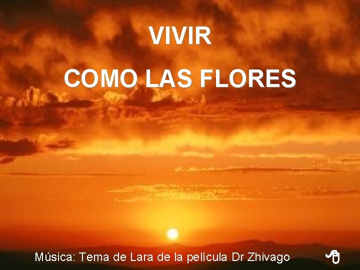 VIVIR COMO LAS FLORES Música: Tema de Lara de la película Dr Zhivago 