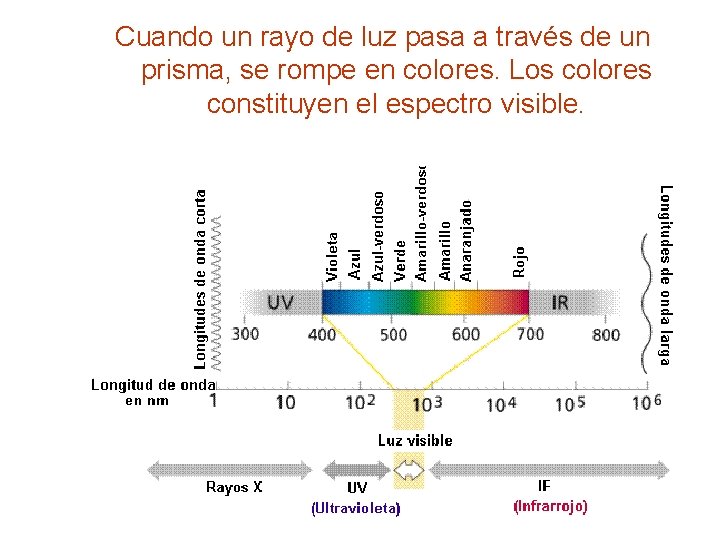 Cuando un rayo de luz pasa a través de un prisma, se rompe en