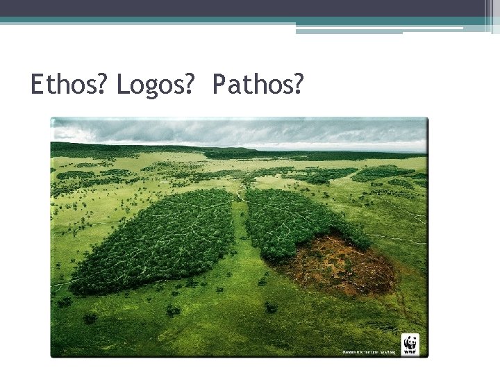 Ethos? Logos? Pathos? World Wildlife Fund w 