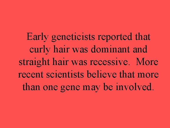 Early geneticists reported that curly hair was dominant and straight hair was recessive. More Early geneticists reported that curly hair was dominant and straight hair was recessive. More