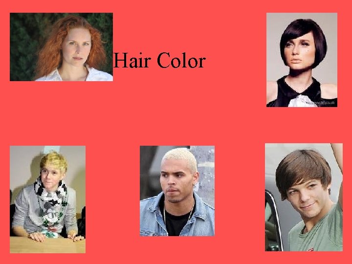 Hair Color Hair Color